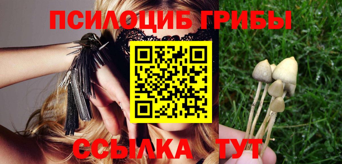 купить закладку  Галлюциногенные грибы Cubensis  Вход с VPN  Лесной 