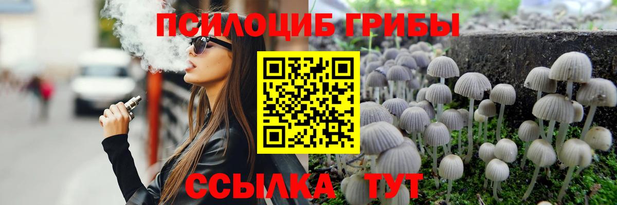 Псилоцибиновые грибы Psilocybe Лесной